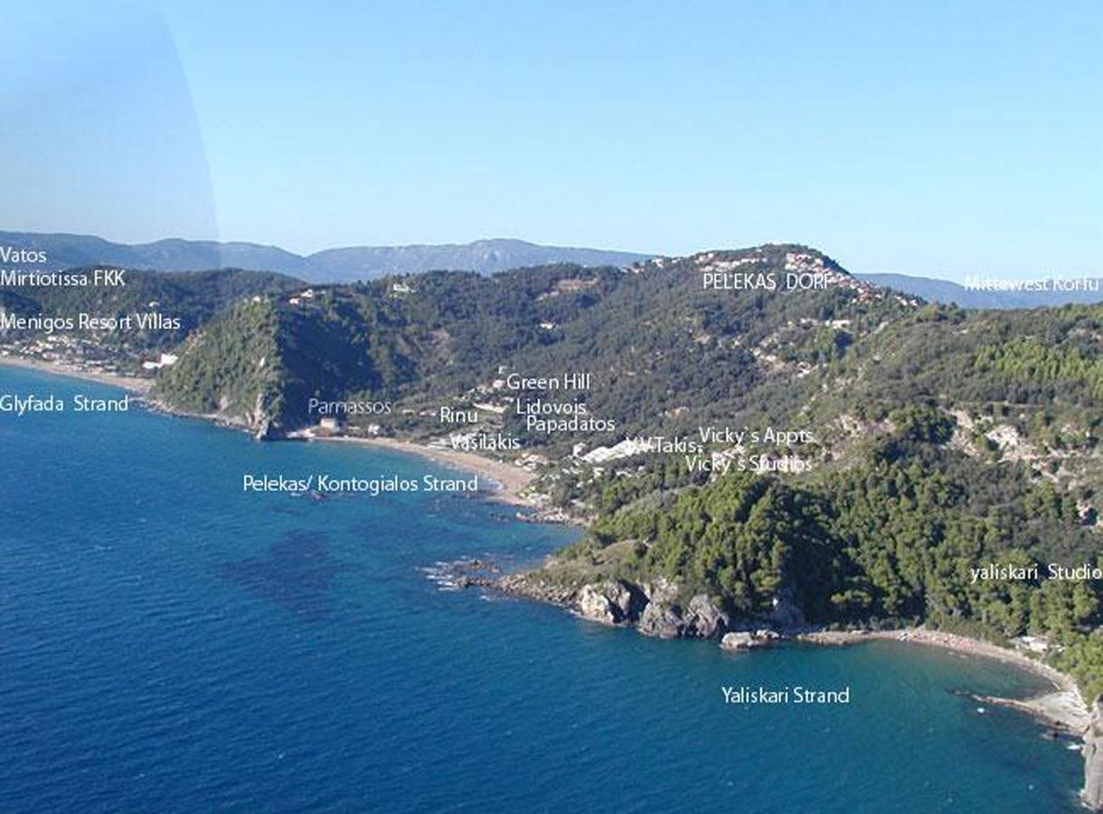 Classical Villa Anta Ágios Ioánnis Exteriör bild